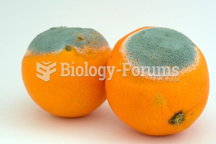 Two moldy oranges.