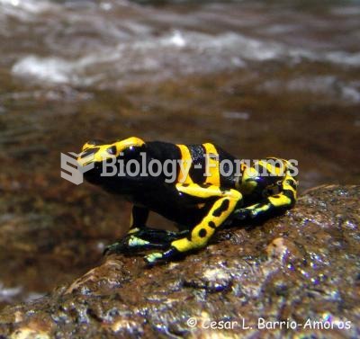 Dendrobates leucomelas, a poisonous frog from Venezuelan Guiana