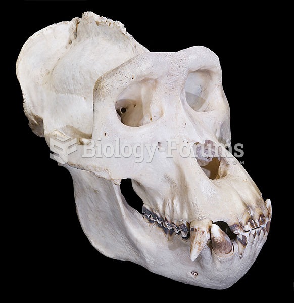 A skull of a gorilla