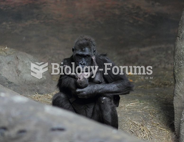 Mother gorilla with 10-day-old infant