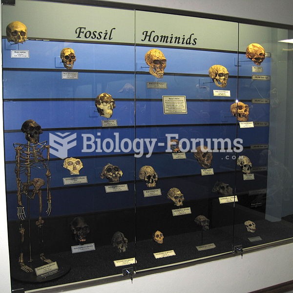 A Fossil Hominid Exhibit at The Museum of Osteology, Oklahoma City, Oklahoma