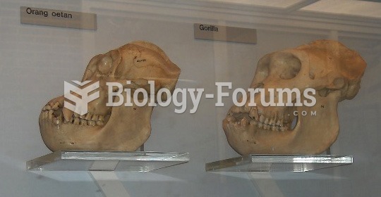 Skulls of an orangutan and a gorilla
