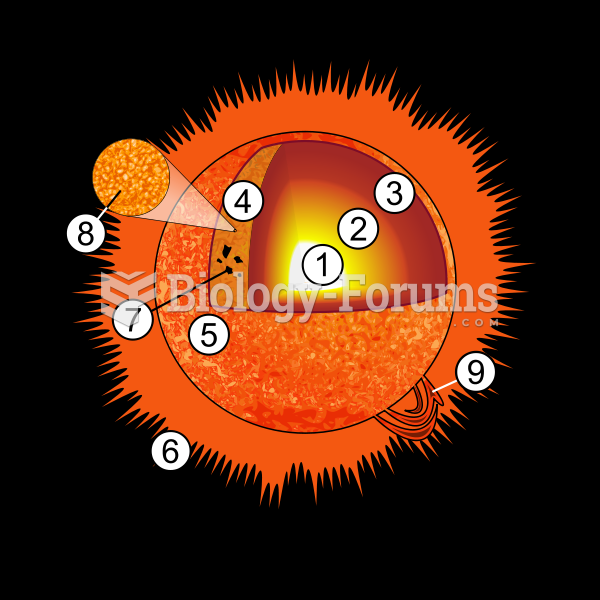 An illustration of the structure of the Sun: