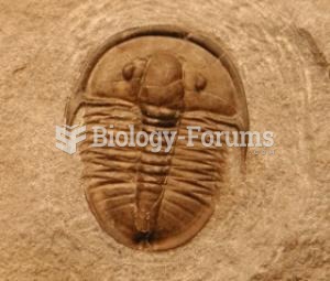 Cambrian trilobite, with a shell made of calcium carbonate.