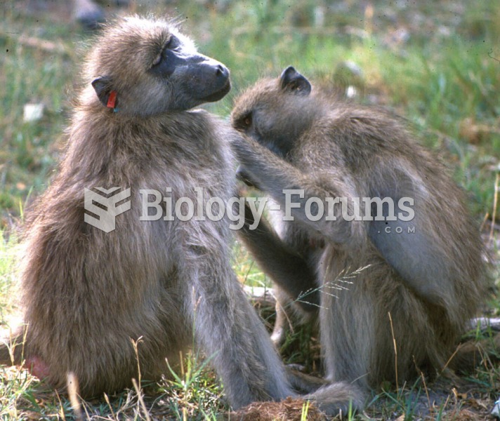 A recent study found that female baboons that groom each other are more likely to come to each other