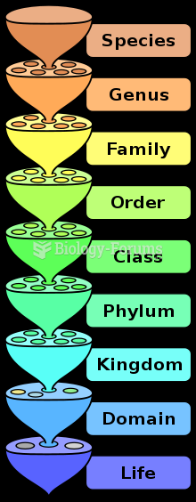 The hierarchy of biological classification's eight major taxonomic ranks.
