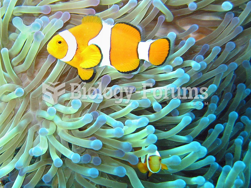 Mutual symbiosis between clownfish of the genus Amphiprion that dwell among the tentacles of tropica