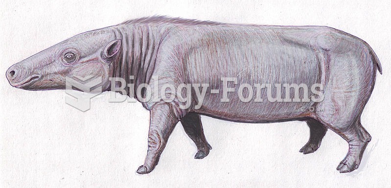 Anthracotheres like Anthracotherium resembled pygmy hippos and are among their likely ancestors
