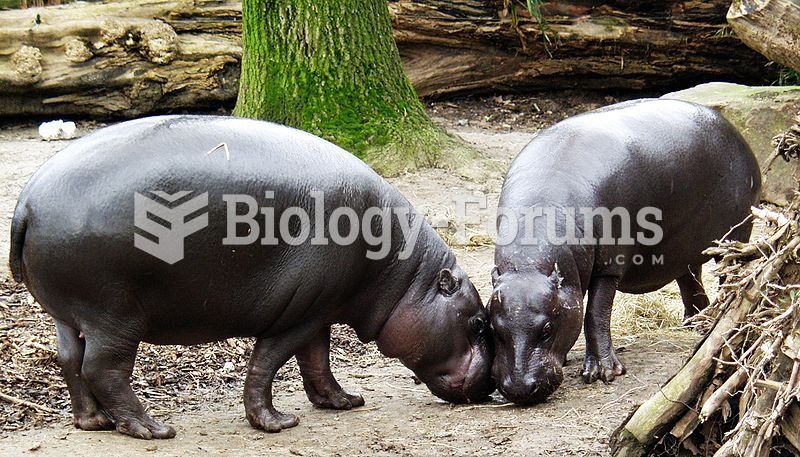 A Mating Couple at the Duisburg Zoo in Germany.