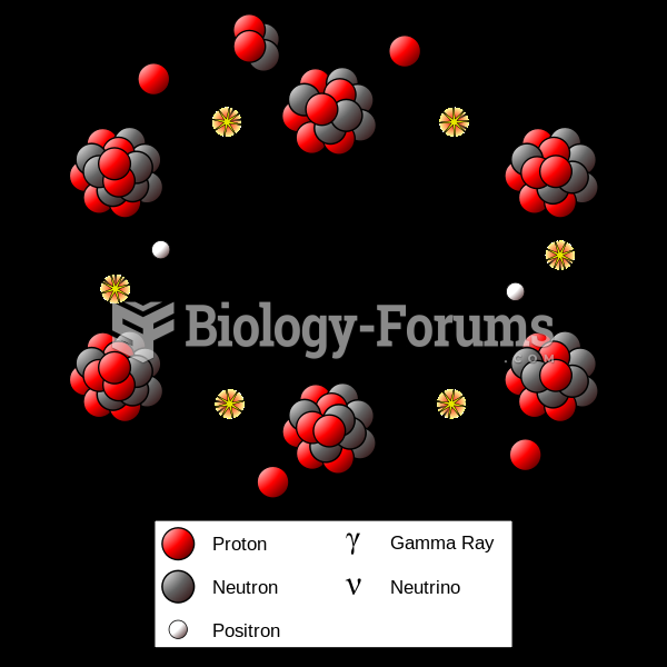 The carbon-nitrogen-oxygen cycle of The Sun