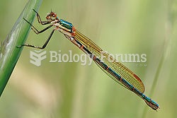 Lestidae is a rather small family of cosmopolitan, large-sized, slender damselflies. They are of the