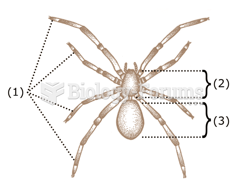 Spider-characteristics