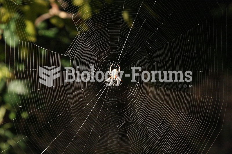 The large orb web of Araneus diadematus (European garden spider).