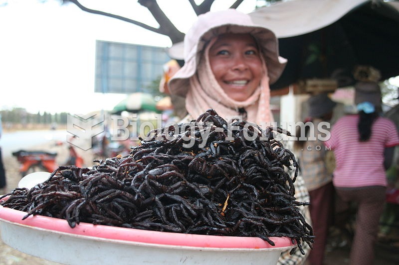 Cooked tarantula spiders are considered a delicacy in Cambodia.