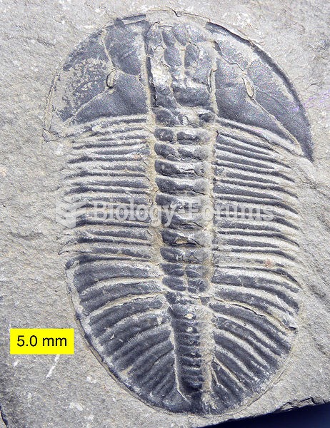 Olenoides erratus from the Mt. Stephen Trilobite Beds (Middle Cambrian) near Field, British Columbia