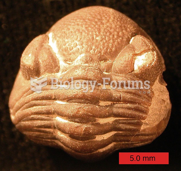 Phacopid trilobite, Devonian age, Ohio, United States