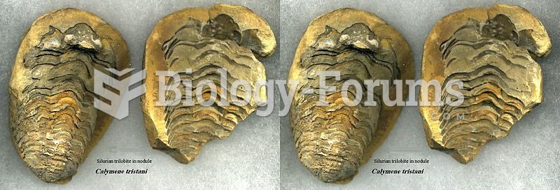Image of phacopidan trilobite Calymene tristani in nodule.