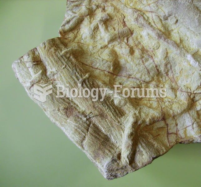 Cruziana, fossil trilobite furrowing trace
