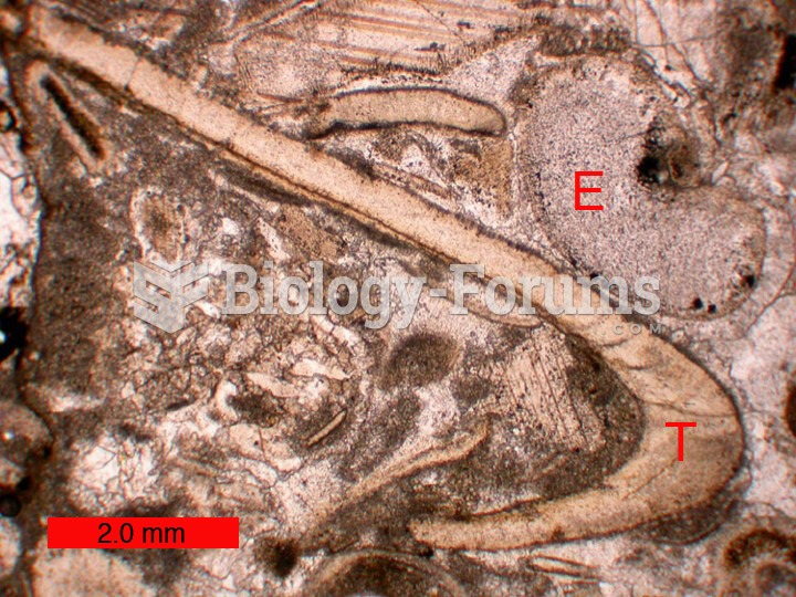 A trilobite fragment (T) in a thin-section of an Ordovician limestone; E=echinoderm; scale bar is 2 