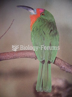 The Red-bearded Bee-eater Nyctyornis amictus is a large species of bee-eater found in the Indo-Malay