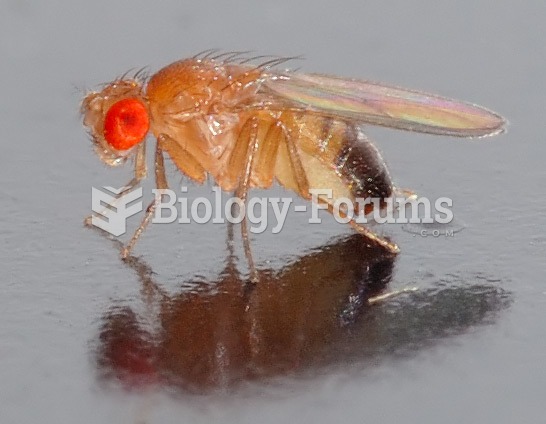 Hexapoda: Drosophila melanogaster
