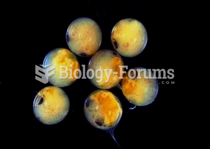 Eggs of Potamon fluviatile, a freshwater crab