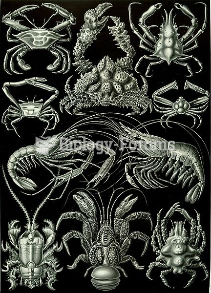 Decapods, from Ernst Haeckel's 1904 work Kunstformen der Natur