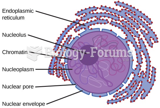 Characteristics of a Eukaryotic Cell