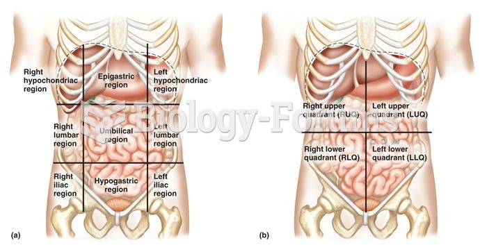 Divisions of the Abdominal Area