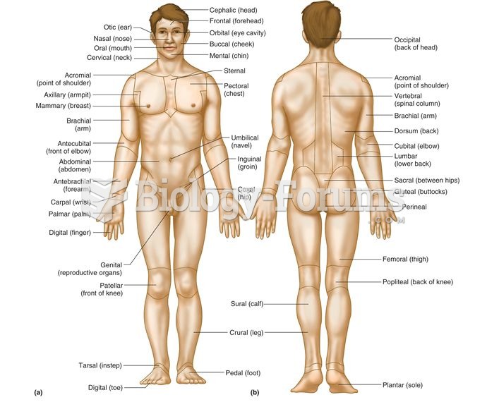 Body Region Terms