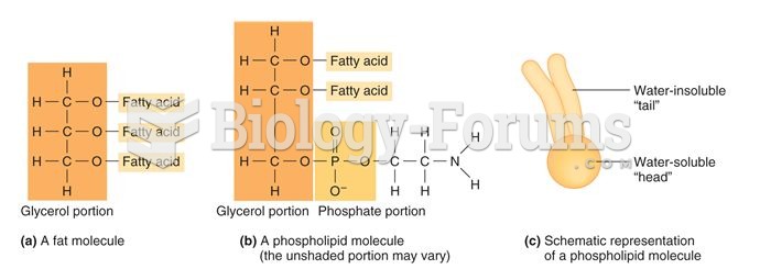 Fats and Phospholipids