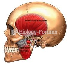 Temporalis anatomy