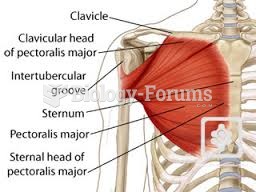 Pectoralis major