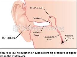 Eustachian tube