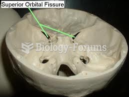 Inferior orbital fissure