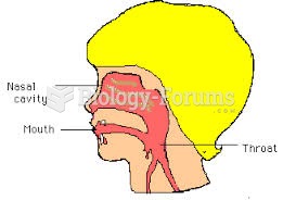 Nasal cavity