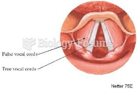 Vocal fold