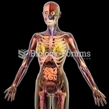 Anatomy Diagram Of Human Body