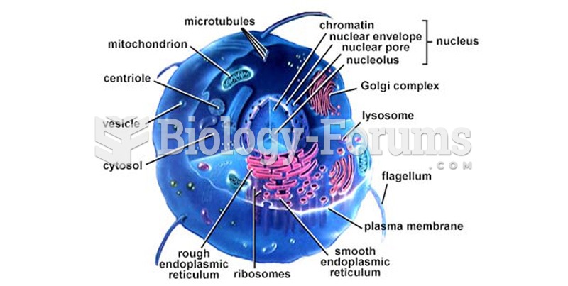 A Human Cell