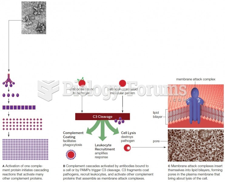 Complement System