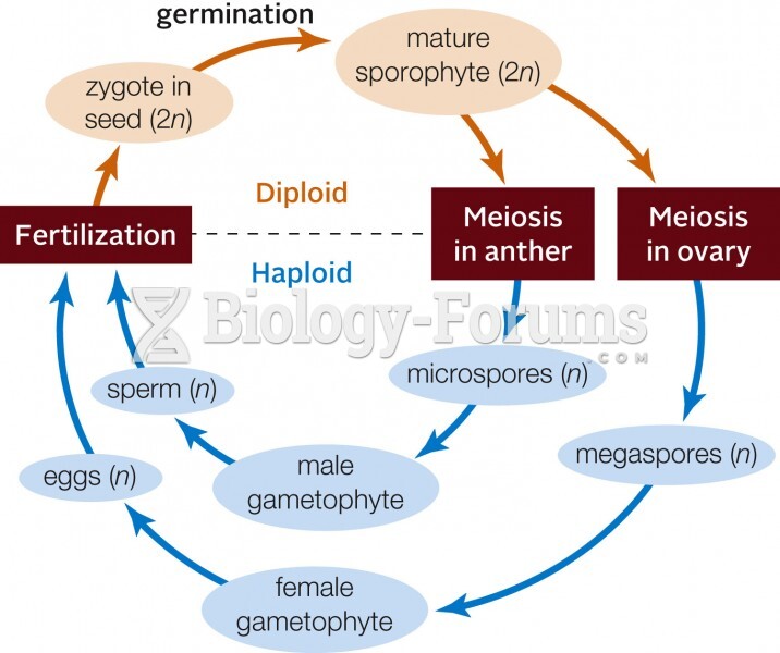 Life cycle of a typical flowering plant. 