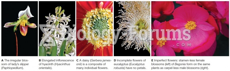 Diversity of Flower Structure