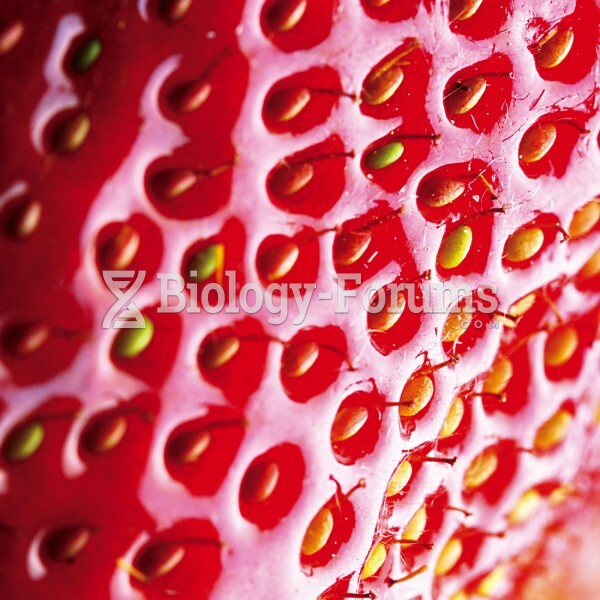 Strawberry Upclose