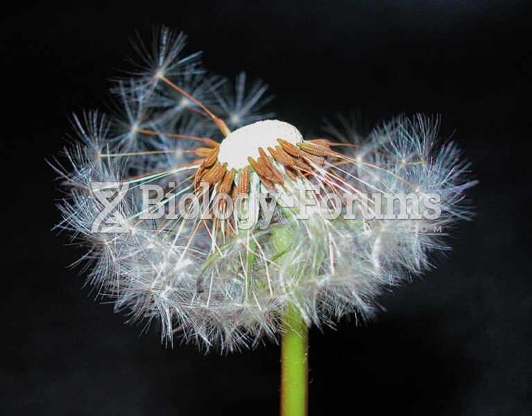 Wind that lifts the hairy modified sepals of a dandelion (Taraxacum) fruit may carry the attached se