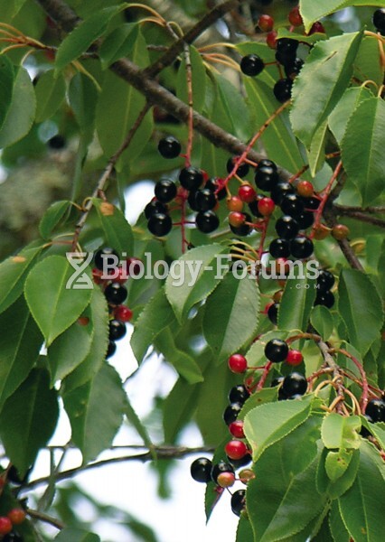 Ripening black cherries (Prunus serotina) release ethylene that stimulates abscission of the fruits