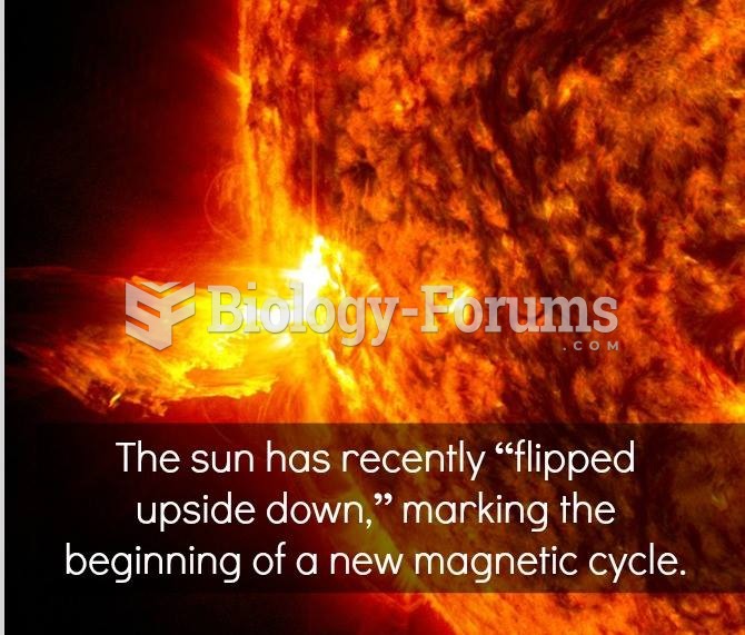 New Magnetic Cycle