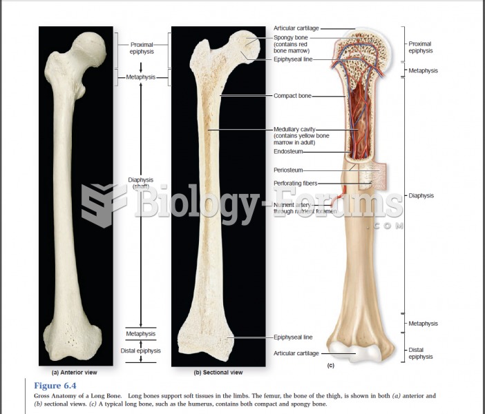 Gross Anatomy of a Long Bone