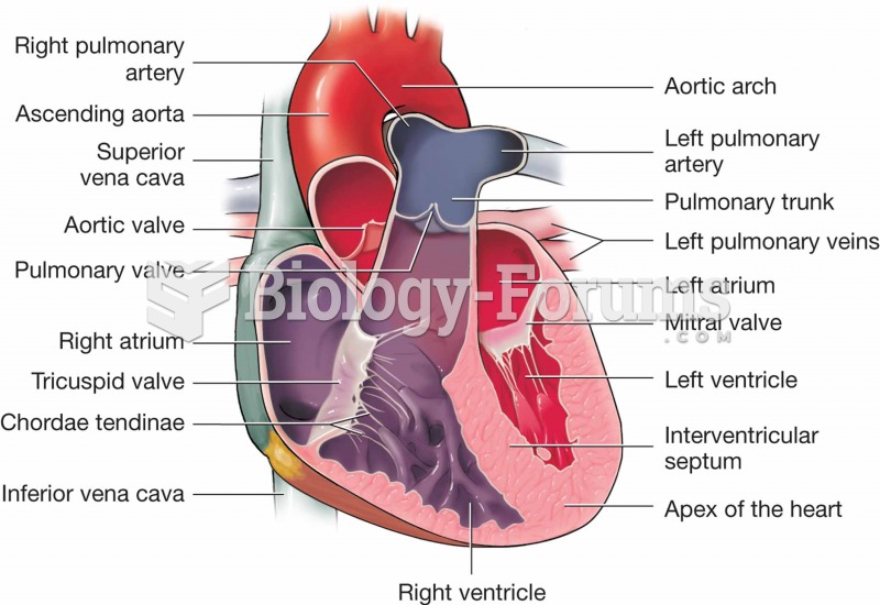 Chambers and valves of the heart.