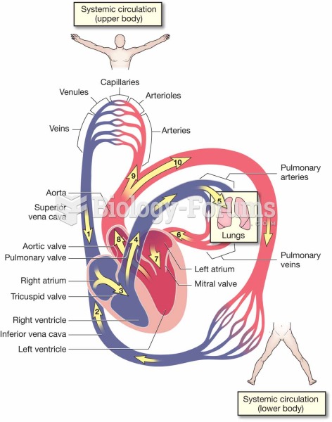 Circulation of the blood.