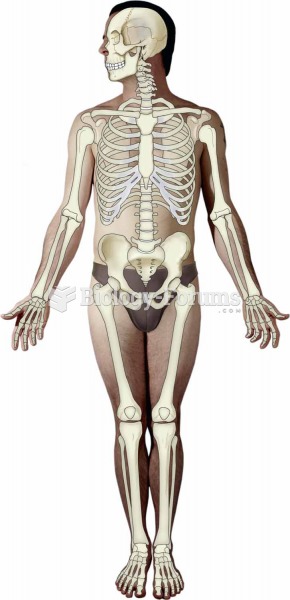 The skeletal system.